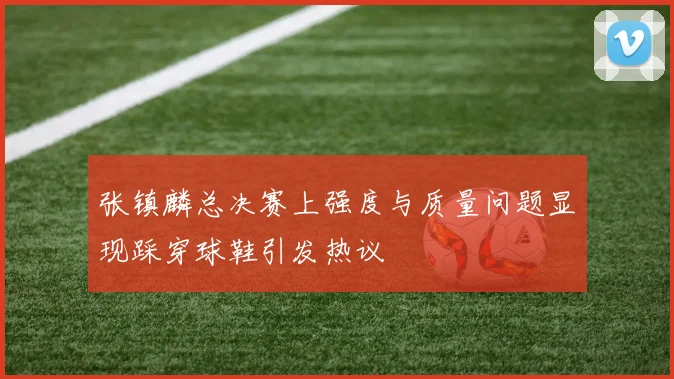 张镇麟总决赛上强度与质量问题显现踩穿球鞋引发热议
