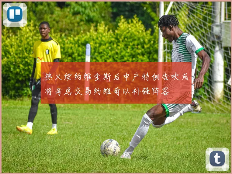 热火续约维金斯后中产特例告吹或将考虑交易约维奇以补强阵容